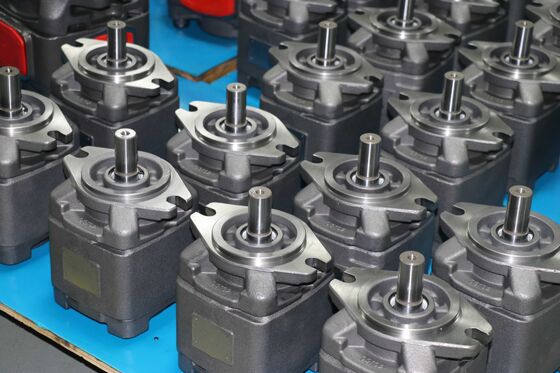 Αγορά Εσωτερική αντλία γραναζιών σειράς FG0 FG04 FG08 FG10 FG13 FG16 FG20 FG25 online manufacture